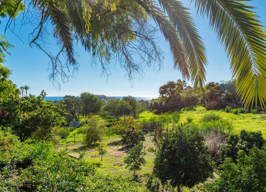 Resale - House - Detached Villa - Marbella - Nueva Andalucia