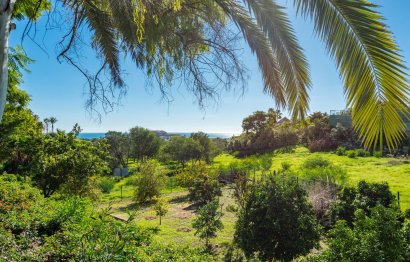 Resale - House - Detached Villa - Marbella - Nueva Andalucia