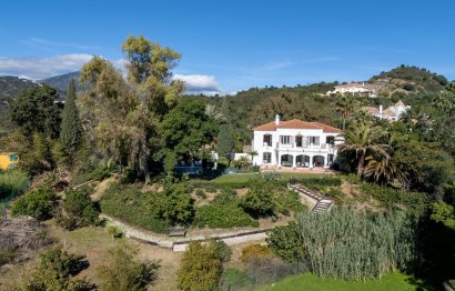 Resale - House - Detached Villa - Marbella - Nueva Andalucia