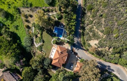 Resale - House - Detached Villa - Marbella - Nueva Andalucia