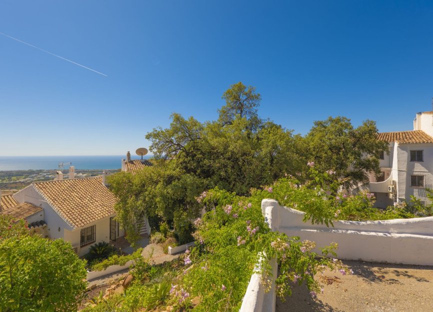 Resale - Apartment - Middle Floor Apartment - Marbella - Altos de los Monteros