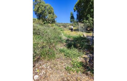 Resale - Plot - Land - Estepona - Estepona Centro