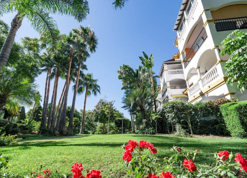 Resale - Apartment - Middle Floor Apartment - Marbella - Nueva Andalucia