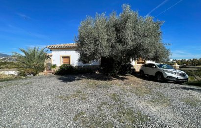 Resale - House - Detached Villa - Estepona - Cancelada