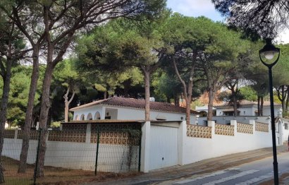 Resale - House - Detached Villa - Marbella - Artola