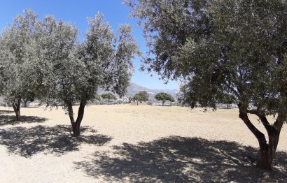 Resale - Plot - Land - Mijas - Mijas Centro