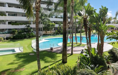 Resale - Apartment - Middle Floor Apartment - Marbella - Nueva Andalucia