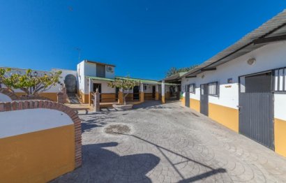 Resale - House - Detached Villa - Estepona - El Padron