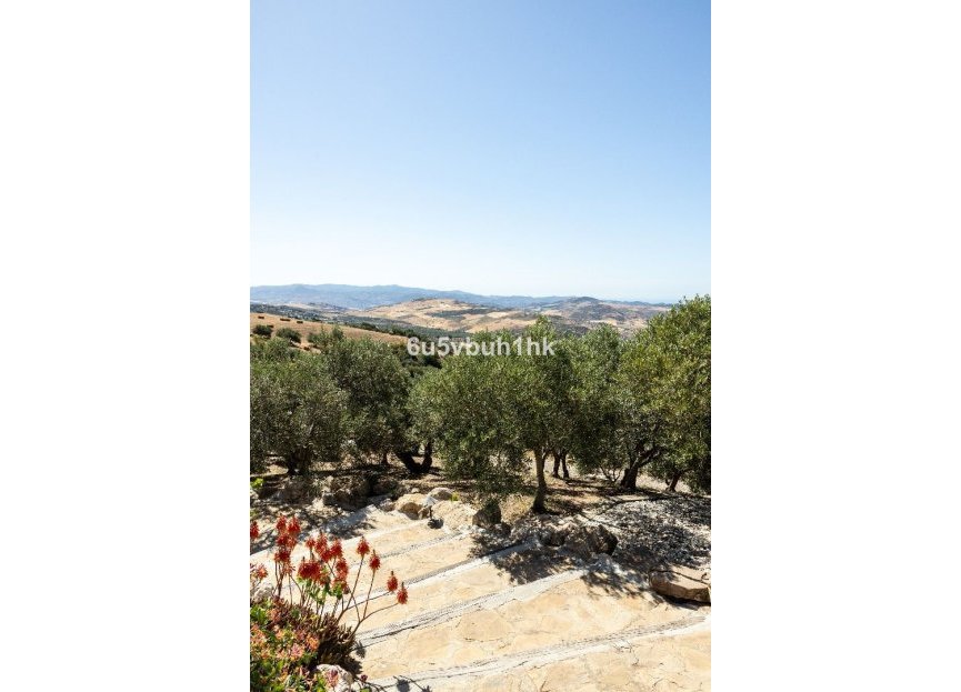 Resale - House - Detached Villa - Antequera