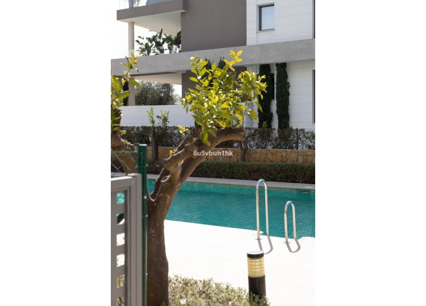 Resale - Apartment - Middle Floor Apartment - Estepona - Cancelada