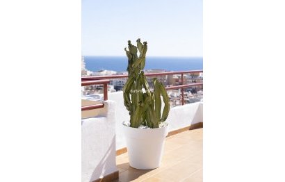 Resale - Apartment - Penthouse - Fuengirola - Los Boliches