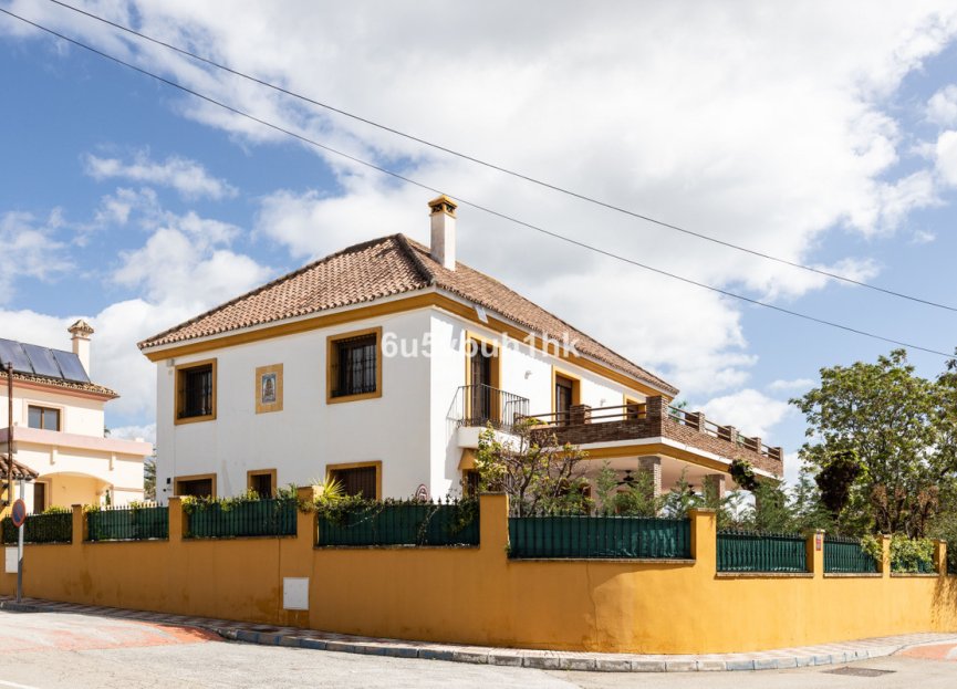 Resale - House - Detached Villa - Marbella - San Pedro De Alcantara