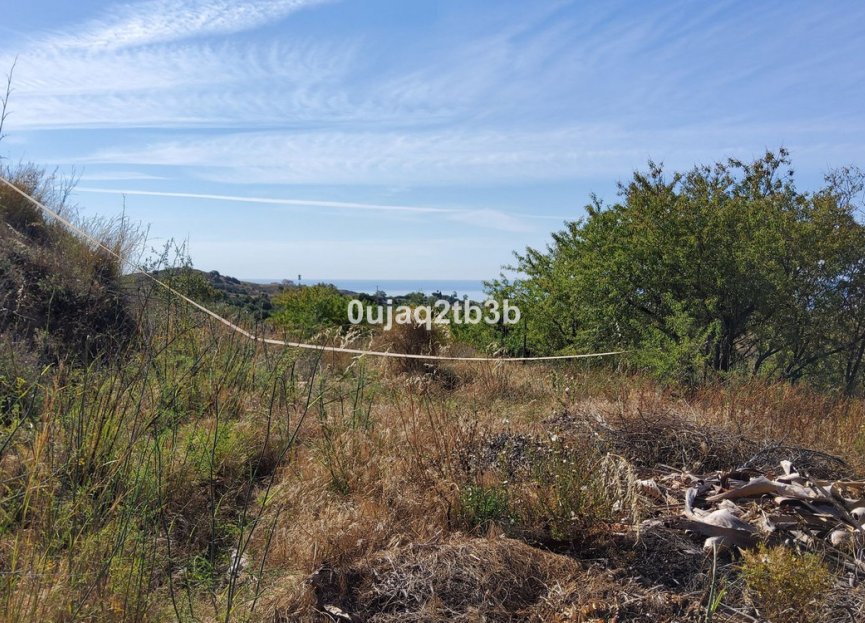 Resale - House - Finca - Cortijo - Mijas - Mijas Centro