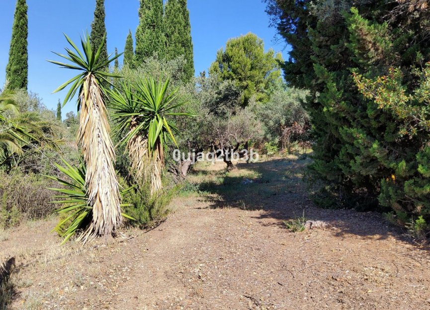 Resale - House - Finca - Cortijo - Mijas - Mijas Centro