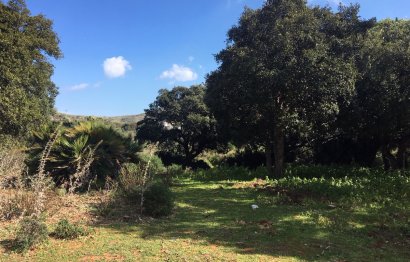 Resale - Plot - Land - Manilva - Manilva Centro