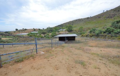 Resale - House - Finca - Cortijo - Mijas - Mijas Centro