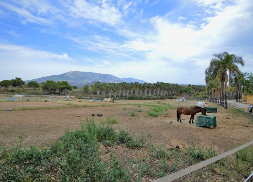 Resale - House - Finca - Cortijo - Mijas - Mijas Centro