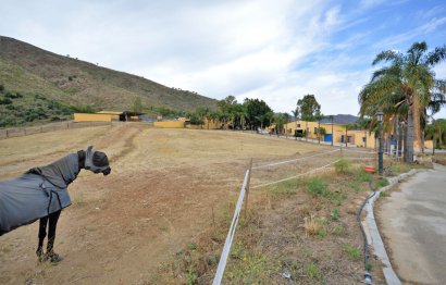 Resale - House - Finca - Cortijo - Mijas - Mijas Centro