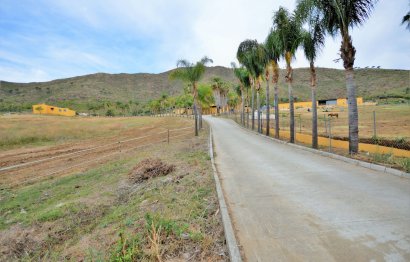 Resale - House - Finca - Cortijo - Mijas - Mijas Centro