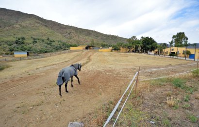 Resale - House - Finca - Cortijo - Mijas - Mijas Centro