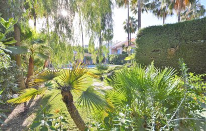 Resale - House - Semi-Detached House - Marbella - Nueva Andalucia