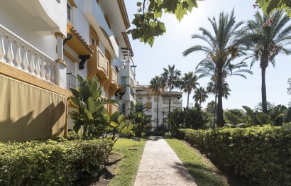 Resale - Apartment - Middle Floor Apartment - Marbella - Nueva Andalucia