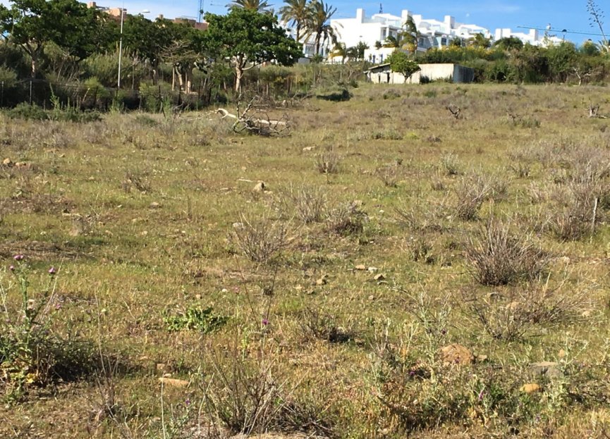 Resale - Plot - Land - Estepona - Cancelada