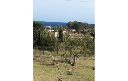 Resale - Plot - Land - Estepona - Cancelada