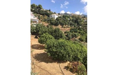 Resale - House - Detached Villa - Mijas - Mijas Centro