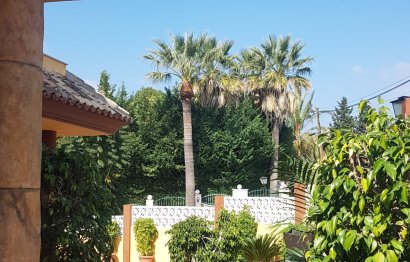 Resale - House - Detached Villa - Marbella - Nueva Andalucia