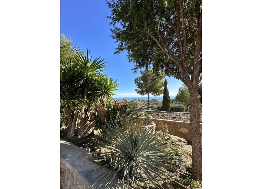 Resale - House - Detached Villa - Mijas - Mijas Centro