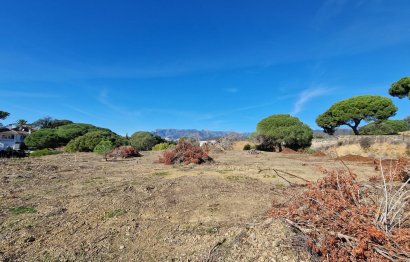 Resale - Plot - Residential Plot - Elviria