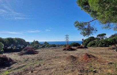 Resale - Plot - Residential Plot - Elviria