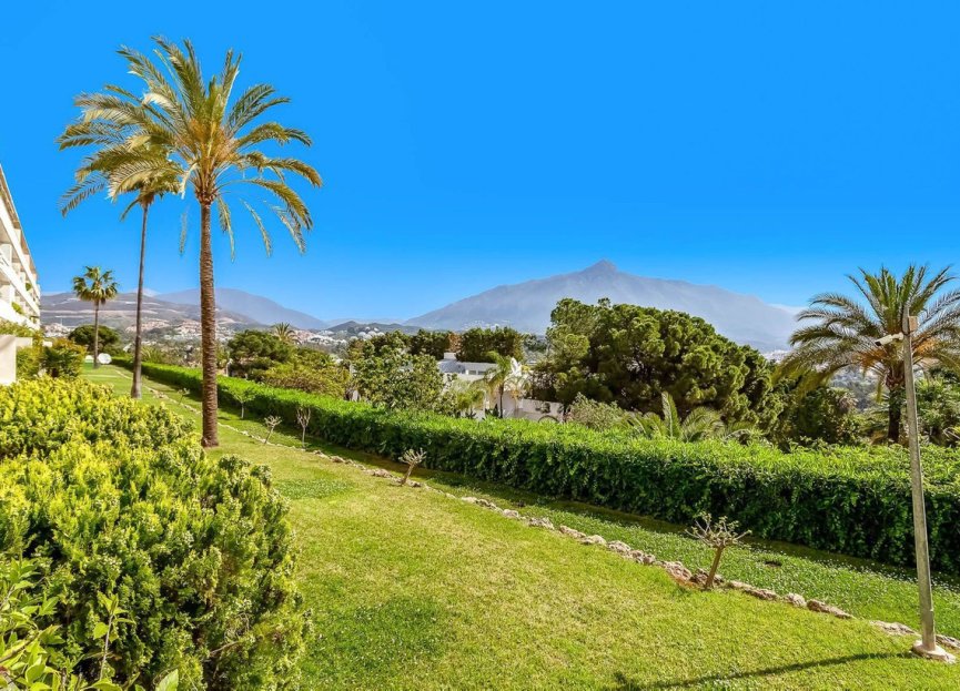 Resale - Apartment - Ground Floor Apartment - Marbella - Nueva Andalucia