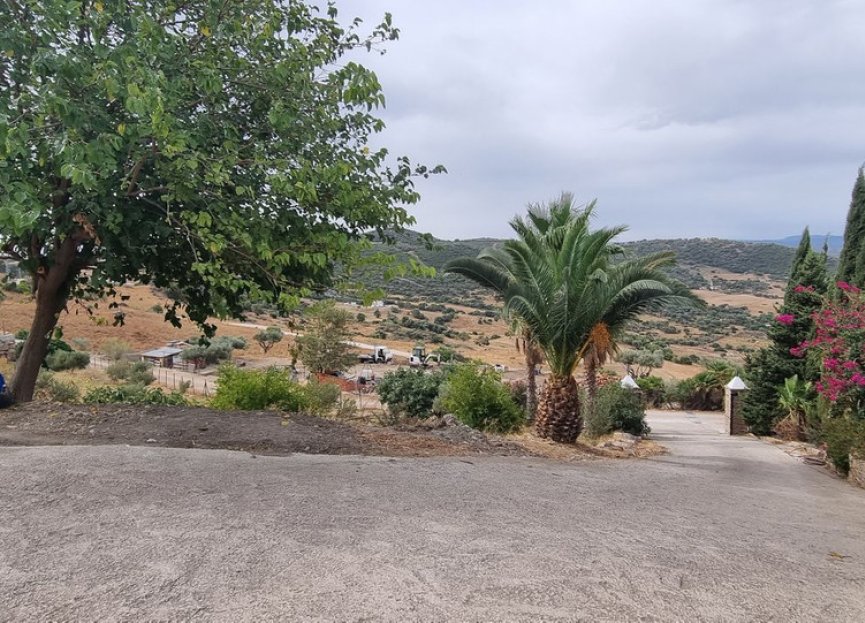 Resale - House - Finca - Cortijo - Casares - Casares Centro