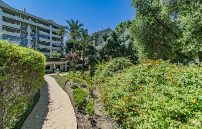 Resale - Apartment - Middle Floor Apartment - Marbella - Guadalmina Alta