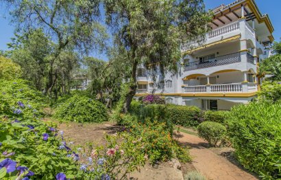 Resale - Apartment - Ground Floor Apartment - Marbella - Nueva Andalucia