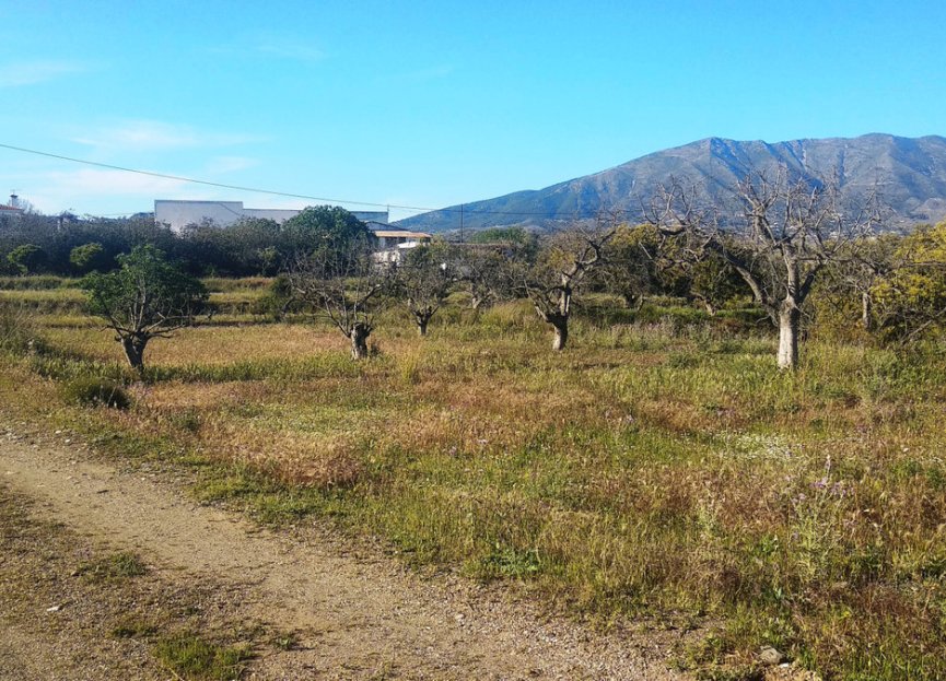 Resale - House - Finca - Cortijo - Mijas - Entrerrios