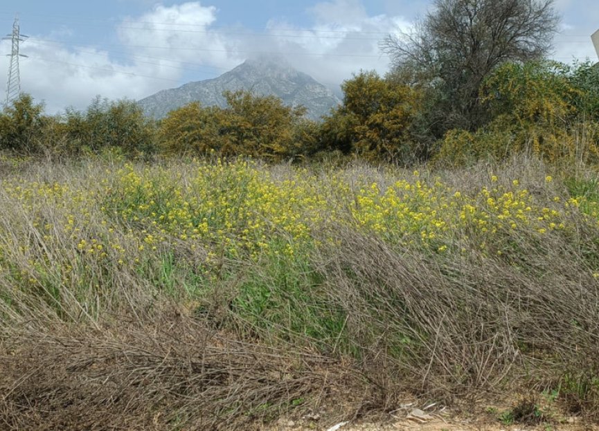 Resale - Plot - Residential Plot - Marbella - The Golden Mile