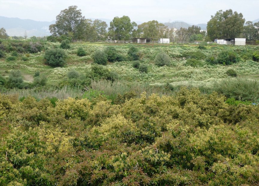 Resale - Plot - Land - Marbella - San Pedro De Alcantara