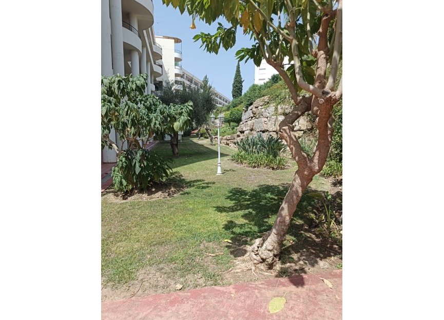 Resale - Apartment - Ground Floor Apartment - Marbella - Guadalmina Alta