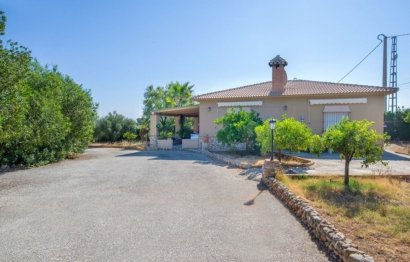 Resale - House - Detached Villa - Alhaurín el Grande - Alhaurín el Grande Centro