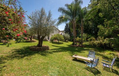 Resale - House - Detached Villa - Marbella - Marbella Centro