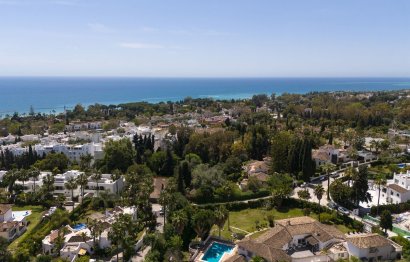 Resale - House - Detached Villa - Marbella - Marbella Centro