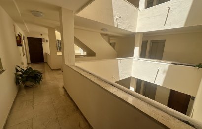 Resale - Apartment - Middle Floor Apartment - Marbella - Nueva Andalucia