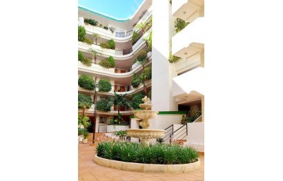 Resale - Apartment - Middle Floor Apartment - Marbella - Guadalmina Alta