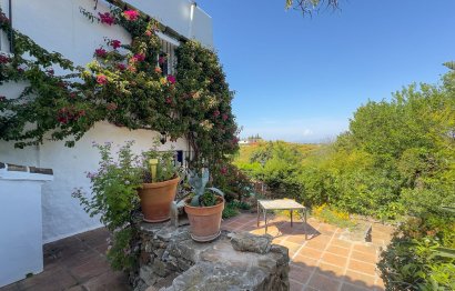 Resale - House - Finca - Cortijo - Alhaurín el Grande - Alhaurín el Grande Centro