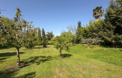 Resale - House - Finca - Cortijo - Alhaurín el Grande - Alhaurín el Grande Centro