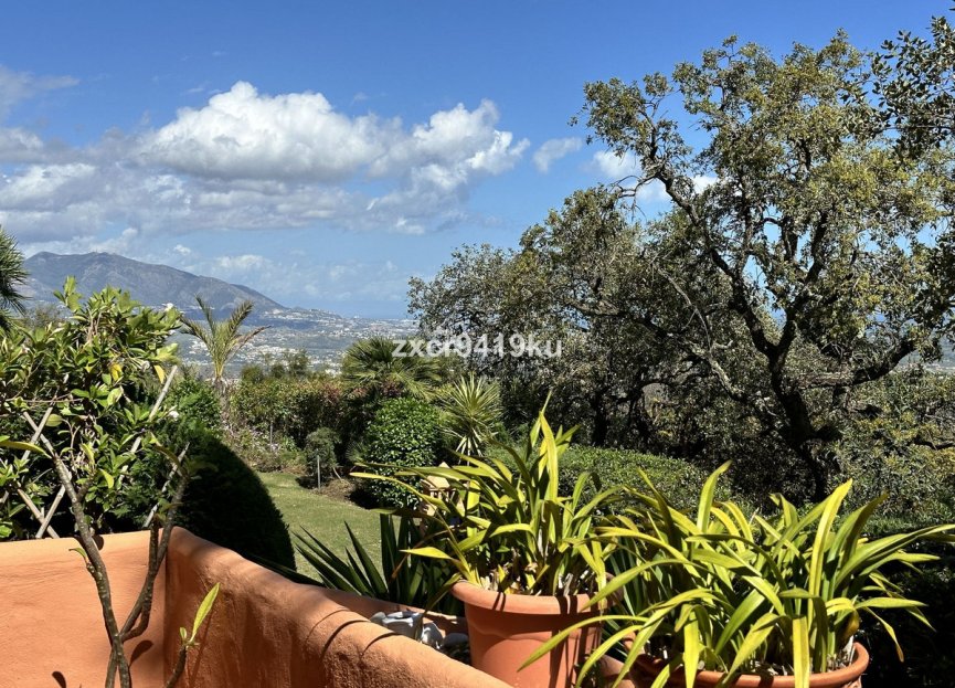 Resale - Apartment - Ground Floor Apartment - Marbella - La Mairena