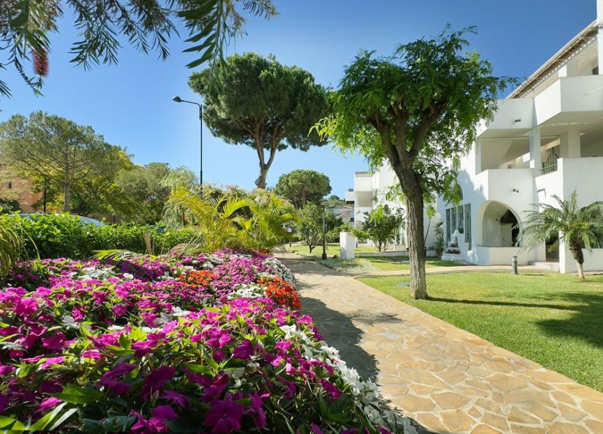 Resale - Apartment - Middle Floor Apartment - Estepona - Estepona Centro